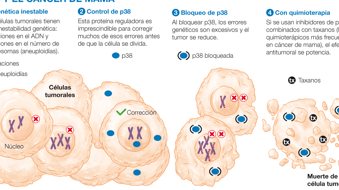 farmacogenomica-del-cancer-tratamientos-segun-el-adn-del-tumor