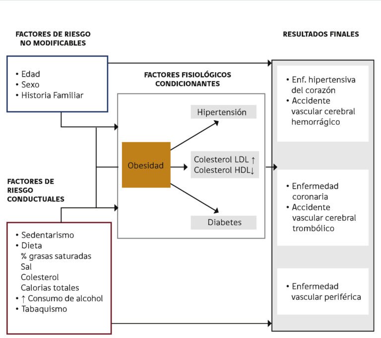 farmacogenomica-en-cardiologia-prevenir-reacciones-adversas