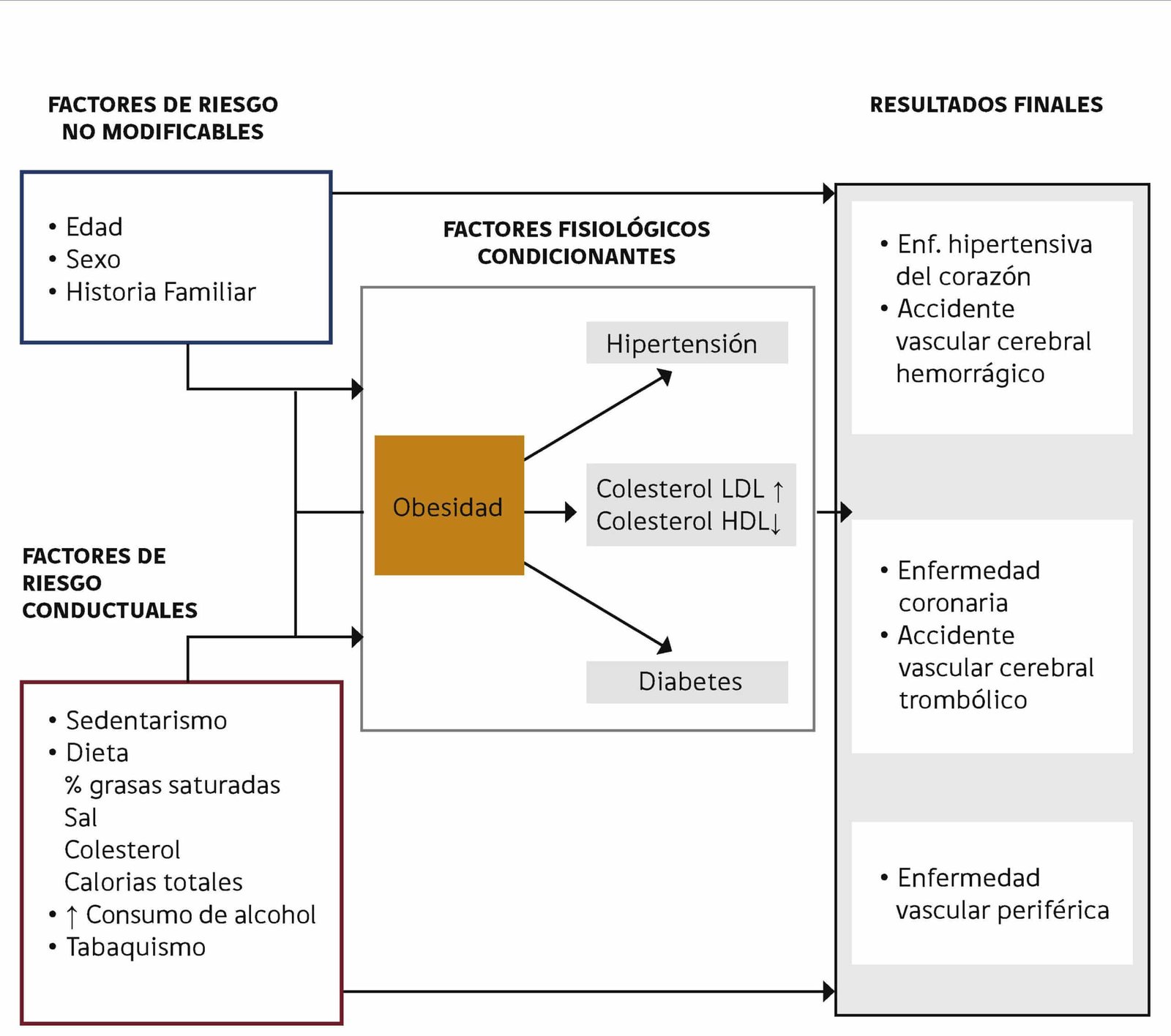 farmacogenomica-en-cardiologia-prevenir-reacciones-adversas