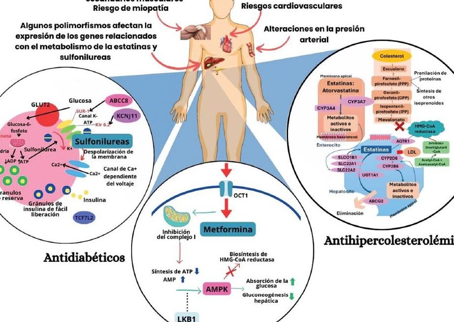 farmacogenomica-y-diabetes-personalizando-la-insulina