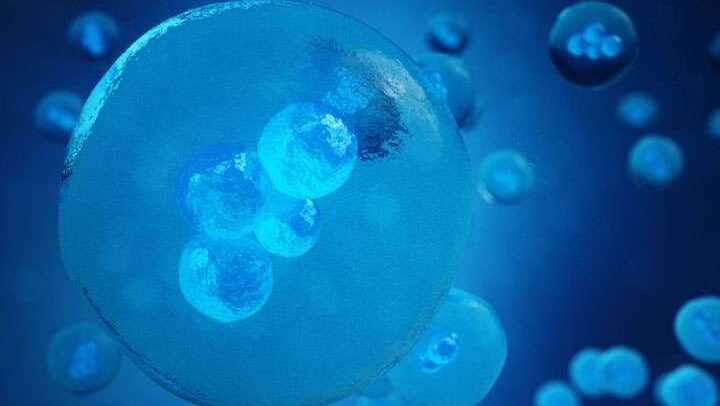 la-bioluminiscencia-aplicada-al-rastreo-de-celulas-tumorales