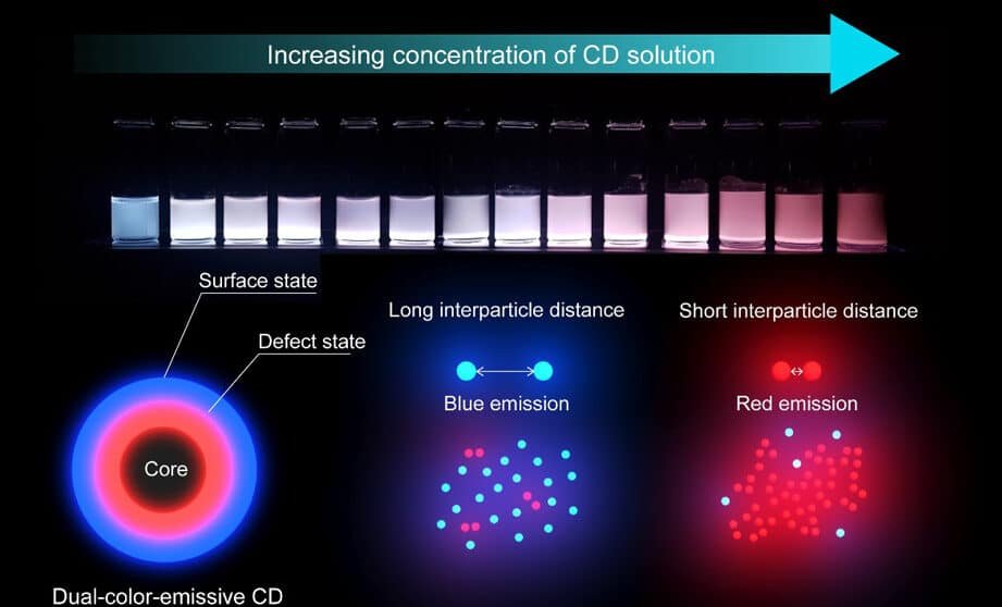 la-promesa-de-los-puntos-cuanticos-de-carbono-en-bioimagen-segura