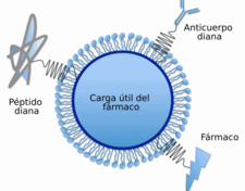 nanocapsulas-de-lipidos-solidos-para-mejorar-la-absorcion-oral-de-farmacos
