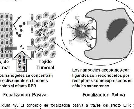 nanogeles-inteligentes-que-responden-al-ph-del-tumor