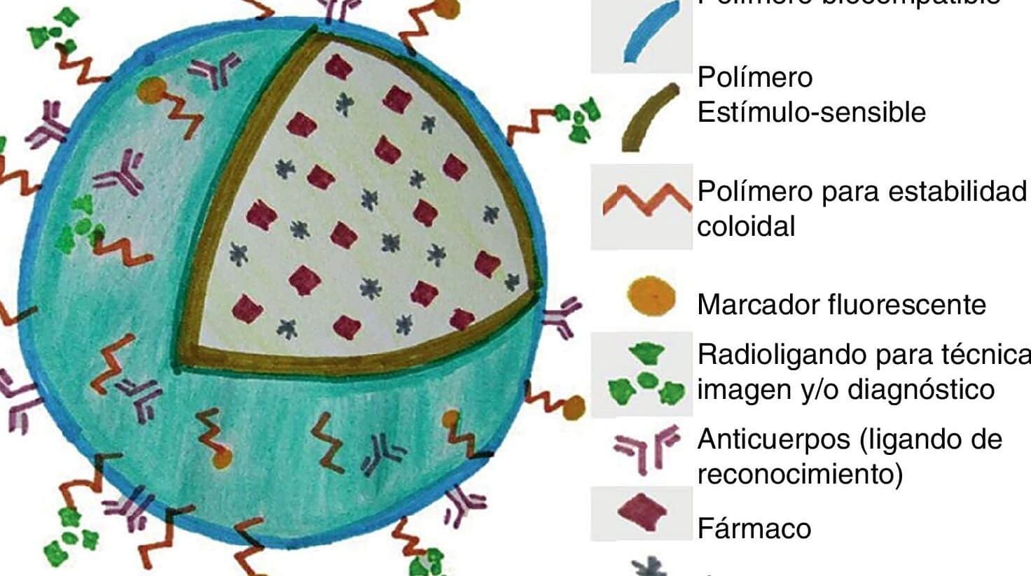 teranostica-diagnostico-y-terapia-simultanea-con-nanotecnologia