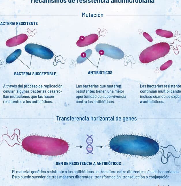 variantes-geneticas-que-hacen-peligrosos-a-ciertos-antibioticos